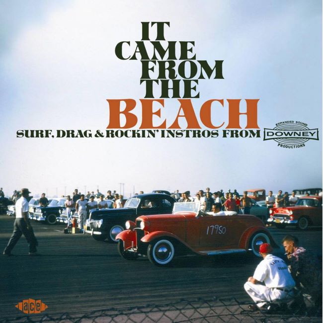 V.A. - It Came From The Beach